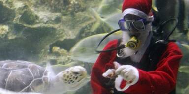 So feiert die Welt Weihnachten