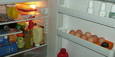 kuehlschrank_archiv5_25961a