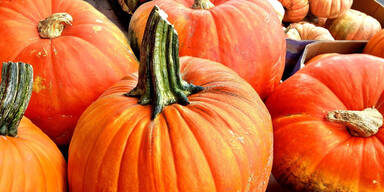 Diese K&uuml;rbisgerichte verzaubern Ihren Herbst