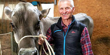 "Ireen" ist die sch&ouml;nste Kuh &Ouml;sterreichs