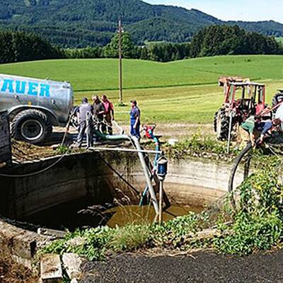 Kuh fiel in Jauchengrube