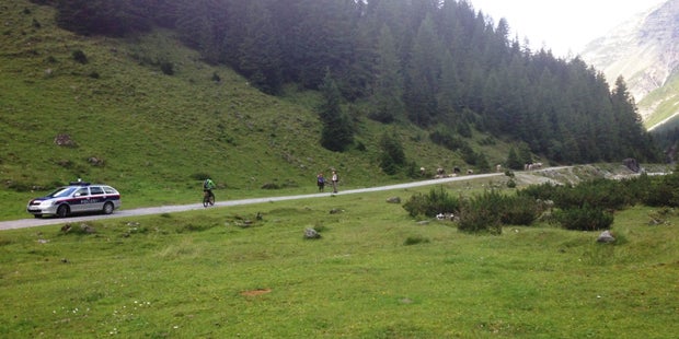 45-Jährige von Kuhherde attackiert - tot