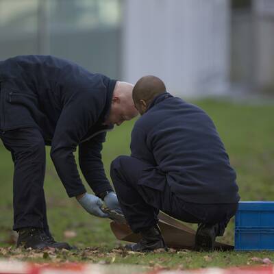 Sieben wertvolle Meisterwerke gestohlen
