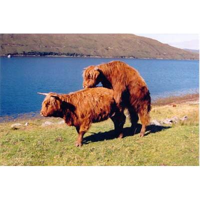 Alle lustigen Urlaubsfotos