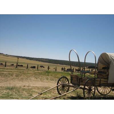 Die neuesten Urlaubsfotos