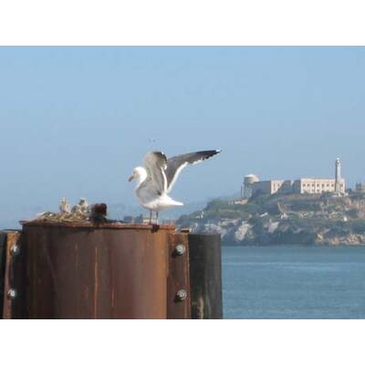 Die neuesten Urlaubsfotos