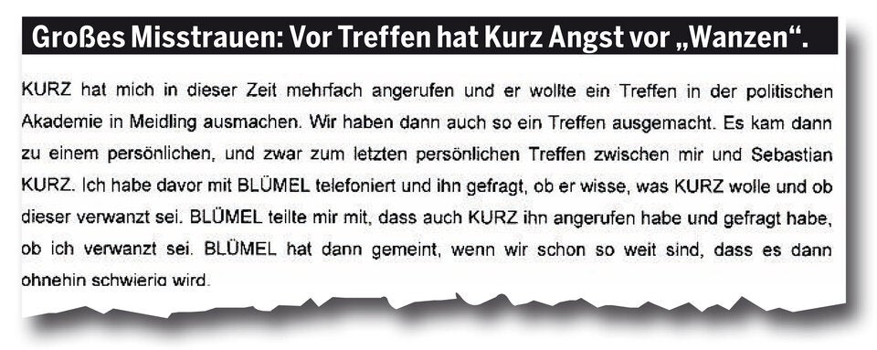 Die Akte Thomas Schmid: Sein Aussage-Protokoll