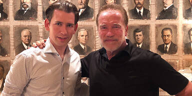 kurz schwarzenegger