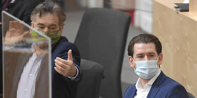 Maskenball im Hohen Haus: Start f&uuml;r Budget-Debatte