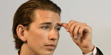 Reform der Rot-Weiß-Rot-Card gefordert