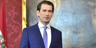 Kurz: "Möglich, dass Silberstein dahintersteckt"