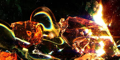 Wiener Kurzfilmfestival VIS