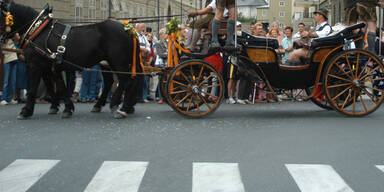 Zwei Verletzte bei Unfall mit Kutsche