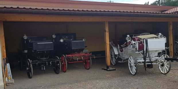 So haben Sie die Wiener Fiaker noch nie erlebt!