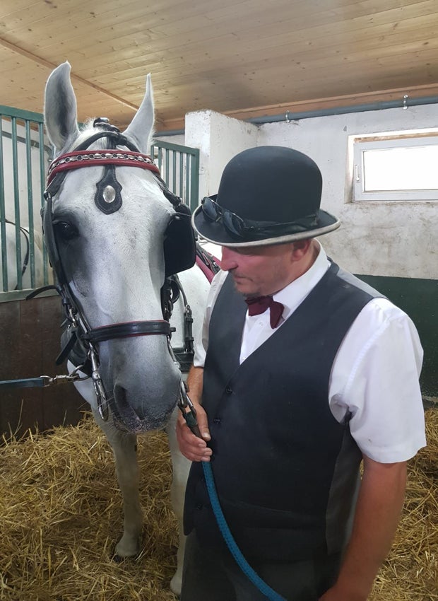 So haben Sie die Wiener Fiaker noch nie erlebt!