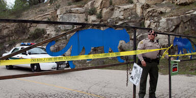 Kalifornien: Löwe tötet Tierpflegerin