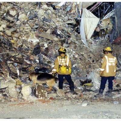 FBI veröffentlicht neue Schock-Fotos von 9/11