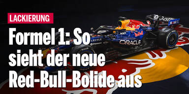 Formel 1: So sieht der neue Red-Bull-Bolide aus