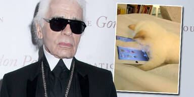 Karl Lagerfeld, Katze