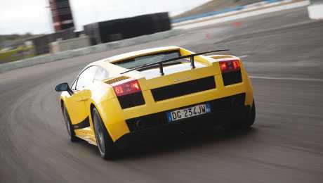 Lambos muskelbepacktes Fliegengewicht