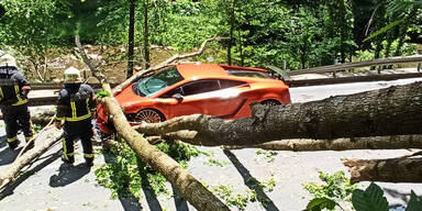 Stubenbergklamm: Baum st&uuml;rzt auf Lamborghini