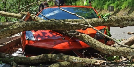 Stubenbergklamm: Baum stürzt auf Lamborghini