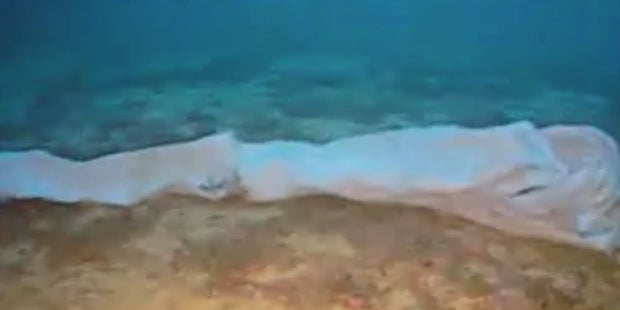 Schiffsunglück: Mutter umarmt ihr Baby noch am Meeresgrund