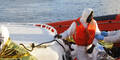 Vermutlich 300 Tote vor Lampedusa