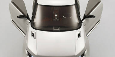 Fleelander bekommt sportlichen Bruder