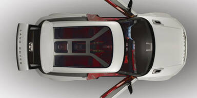 Fleelander bekommt sportlichen Bruder