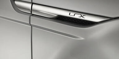 Fleelander bekommt sportlichen Bruder