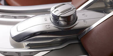 Fleelander bekommt sportlichen Bruder