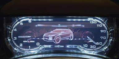 Fleelander bekommt sportlichen Bruder