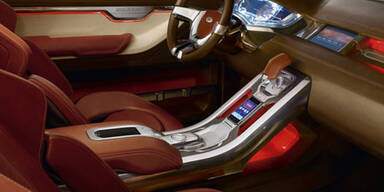 Fleelander bekommt sportlichen Bruder