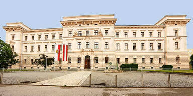 29-Jähriger verging sich an Schwangerer und Baby