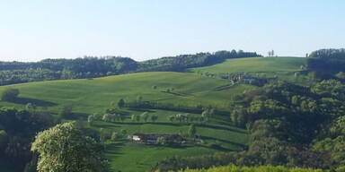 Diese Naturlandschaft ist durch die S34 gef&auml;hrdet.