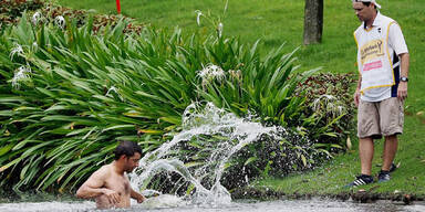 Golf: Hornissen-Angriff auf Larrazabal