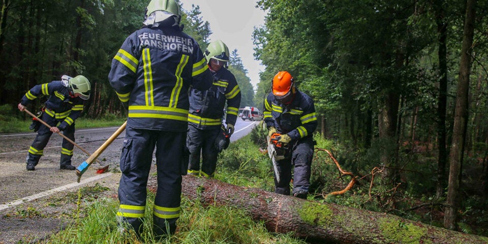 Auto von Baum getroffen: Ein Verletzter