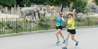 Zwischen Elefanten und W&ouml;lfen: Der Wiener Zoolauf ist zur&uuml;ck!