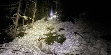 Lawine Auf dem 1.787 Meter hohen Gernkogel bei St. Johann-Alpendorf (Pongau)