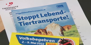 lebendtiertransport 2.PNG