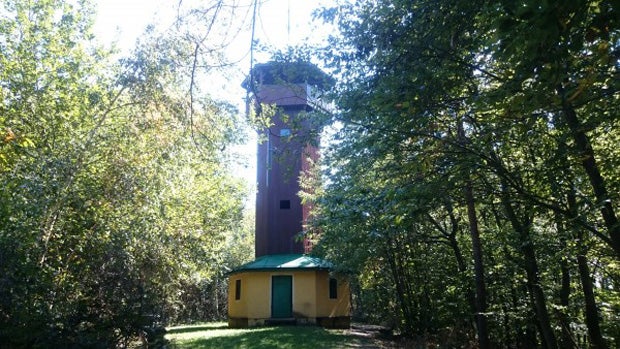 Flammen zerstören steirisches Wahrzeichen