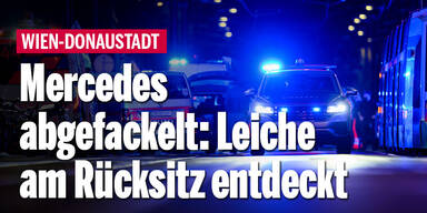 Mercedes abgefackelt: Leiche am Rücksitz entdeckt