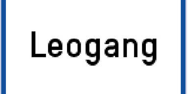 leogang