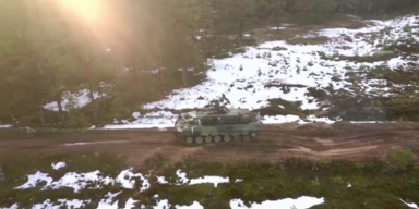 leopard.png