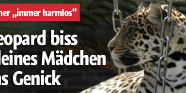 Leopard biss Dompteur-Tochter ins Genick