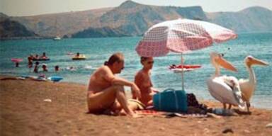 Lesben dürfen sich weiter Lesben nennen