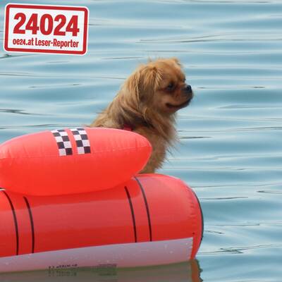 So heiß ist der Sommer