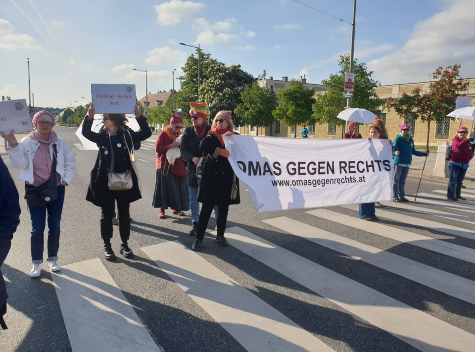 Klima-Kleber blockieren erneut Verkehr in Wien