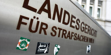 Haftstrafen für Rapid-Hooligans